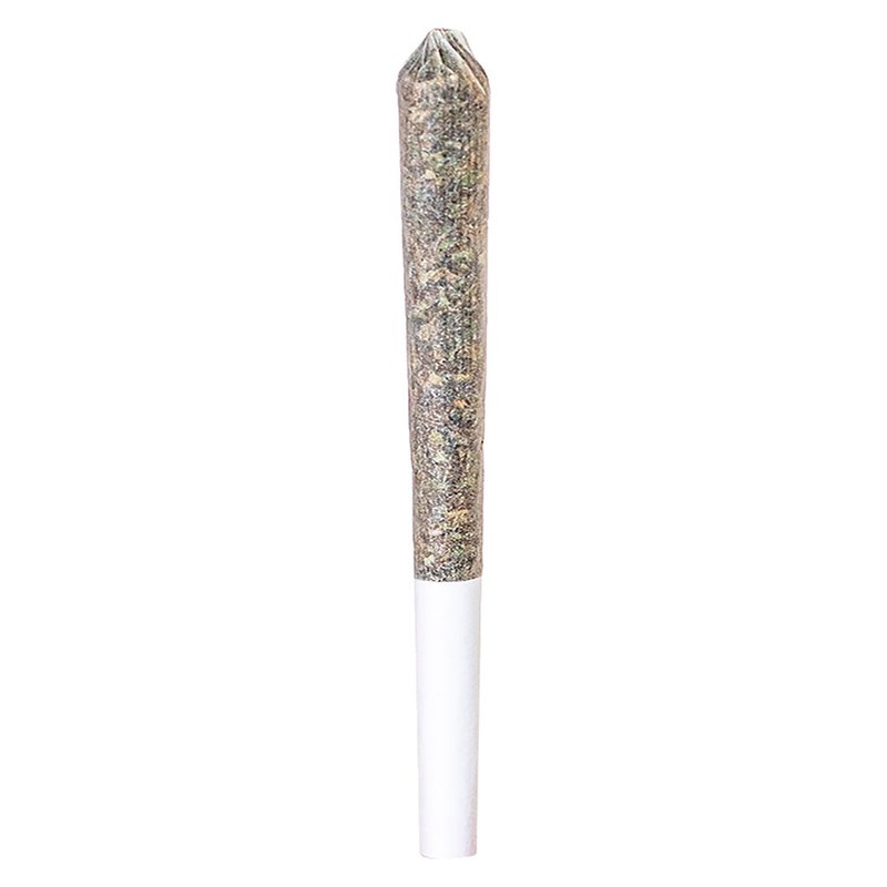 GG#4 Pre-Roll