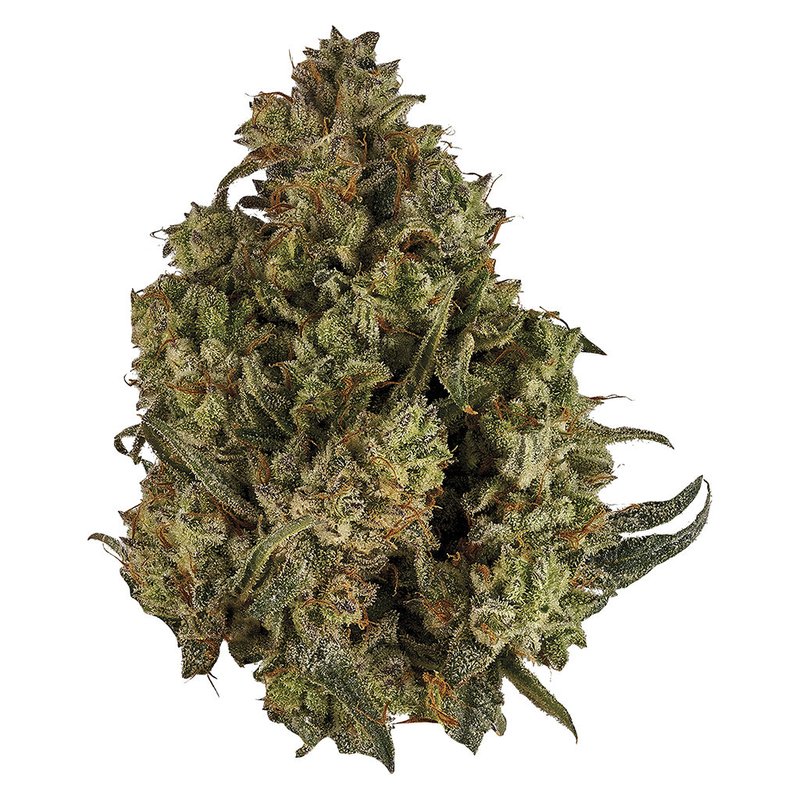 CBD Runtz