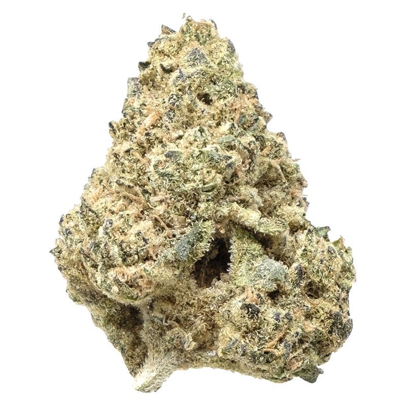 Indica