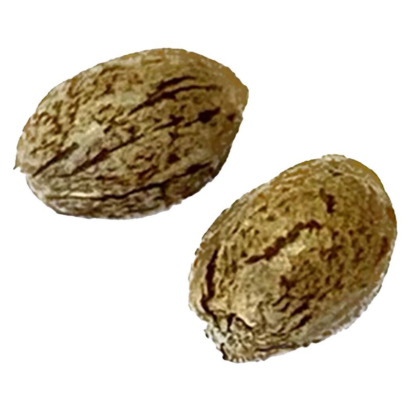 Modified Animal Cookies - Feminized